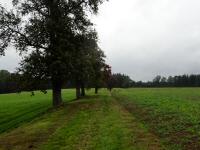  Blick auf die Wanderstrecke 