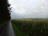  Wanderroute über den Güterweg Fuchsgraben 