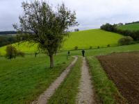  Blick auf die Wanderstrecke 