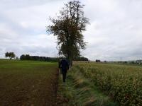  Blick auf die Wanderstrecke 