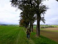  Blick auf die Wanderstrecke 