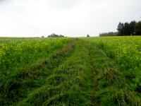  Blick auf die Wanderstrecke 