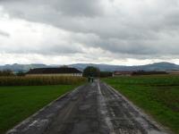  Wanderroute kurz auf der L6265 
