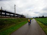  Wanderroute wieder entlang der Westbahn 