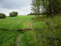  Blick auf die Wanderstrecke 