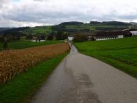  Blick auf die Wanderstrecke 