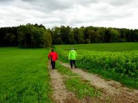  Blick auf die Wanderstrecke 
