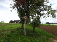  Blick zum Kumpfmühlner Kreuz 