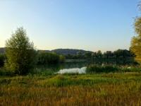  Blick zu einem schönen Fischteich 
