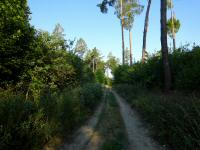  Blick auf die Wanderstrecke 