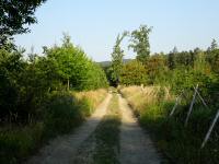  Blick auf die Wanderstrecke 