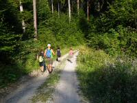  Blick auf die Wanderstrecke 