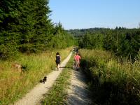  Blick auf die Wanderstrecke 