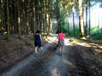  Blick auf die Wanderstrecke 