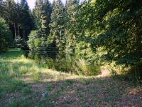  Blick zu einen kleinen Weiher 