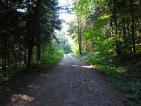  Blick auf die Wanderstrecke 