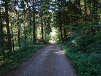 Blick auf die Wanderstrecke 