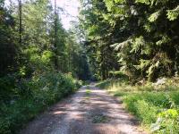  Blick auf die Wanderstrecke 