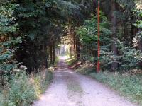  Blick auf die Wanderstrecke 