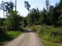  Blick auf die Wanderstrecke 