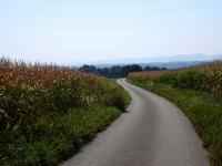  Wanderroute durch die Riede "Hochfeld" 