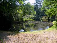  Blick zu einem kleinen Weiher im Schlossgraben 