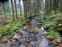  Blick auf die Lainsitz vom Steg flussabwärts 
