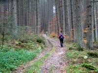  Blick auf die Wanderstrecke 