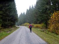 Wanderroute auf der Landstraße nach Joachimstal 
