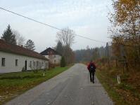 Blick auf die Wanderstrecke bei der Rotte Joachimstal 