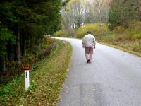 Wanderroute auf der Landstraße zum Forsthaus 
