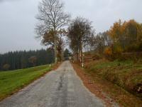 Wanderroute auf der Landstraße zum Forsthaus mit der 1. SK