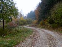  Wanderroute nach Schwarzau 