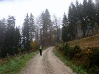  Wanderroute nach Schwarzau 