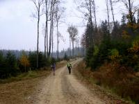  Wanderroute nach Schwarzau 
