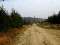  Wanderroute nach Schwarzau 