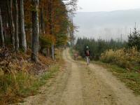  Wanderroute nach Schwarzau 