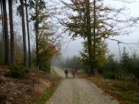  Wanderroute nach Schwarzau 