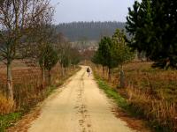  Wanderroute zum Schwarzauer Hof 