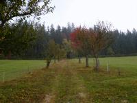 Blick auf die Wanderstrecke in der Nähe vom Forsthaus Schwarzauer Hof 