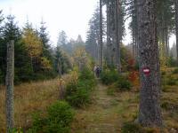  Blick auf die Wanderstrecke 