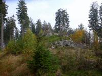Blick zu einem Hochstand mit imposanten Ausblick