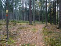Wanderroute durch den Gemeindewald zum Rotem Kreuz