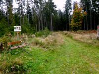  Wanderroute durch den Gemeindewald 