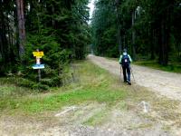 Wanderroute durch den Wald der Großen Riede Bergfeld 