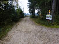 Wanderroute durch den Wald der Großen Riede Bergfeld 