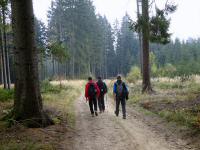 Wanderroute durch den Wald der Großen Riede Bergfeld 