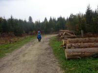 Wanderroute durch den Wald der Großen Riede Bergfeld 