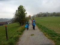 Blick auf die Wanderstrecke in der Nähe vom Moorbad Harbach