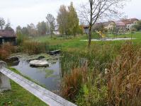 schönes kleines Biotop in Lauterbach 